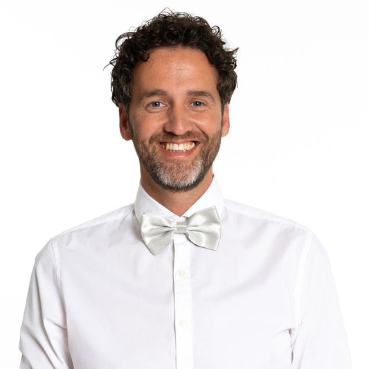 Vlinderstrik Zilver