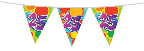 Vrolijke Vlaggenlijn 25 jaar