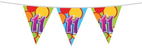 Vrolijke Vlaggenlijn 11 jaar