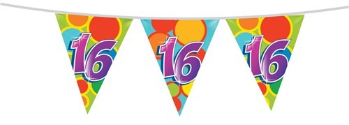 Vrolijke Vlaggenlijn 16 jaar