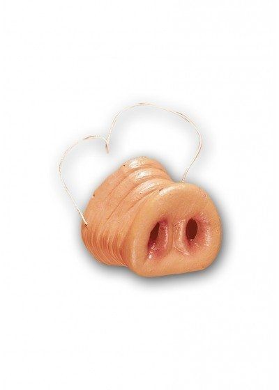 Varkens Neus