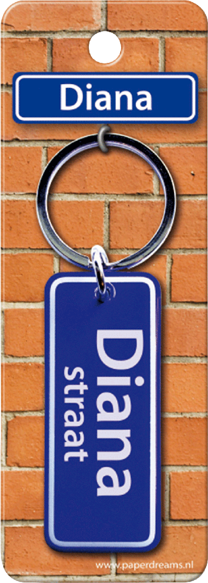 Diana Straat sleutelhanger