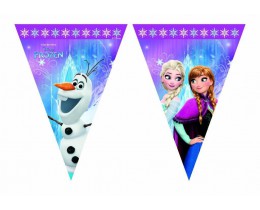 Vlaggenlijn Frozen
