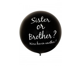 Ballon Sister or Brother