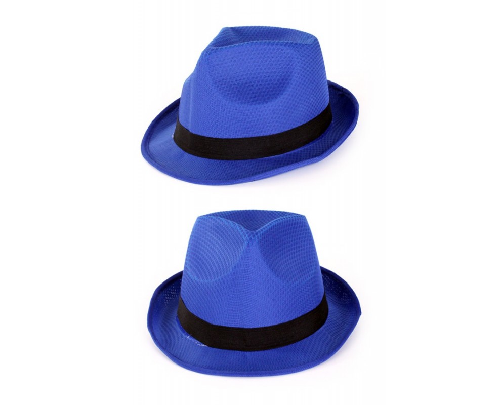 Hoed Blauw | Mooie hoeden leuk | De Goede Keus