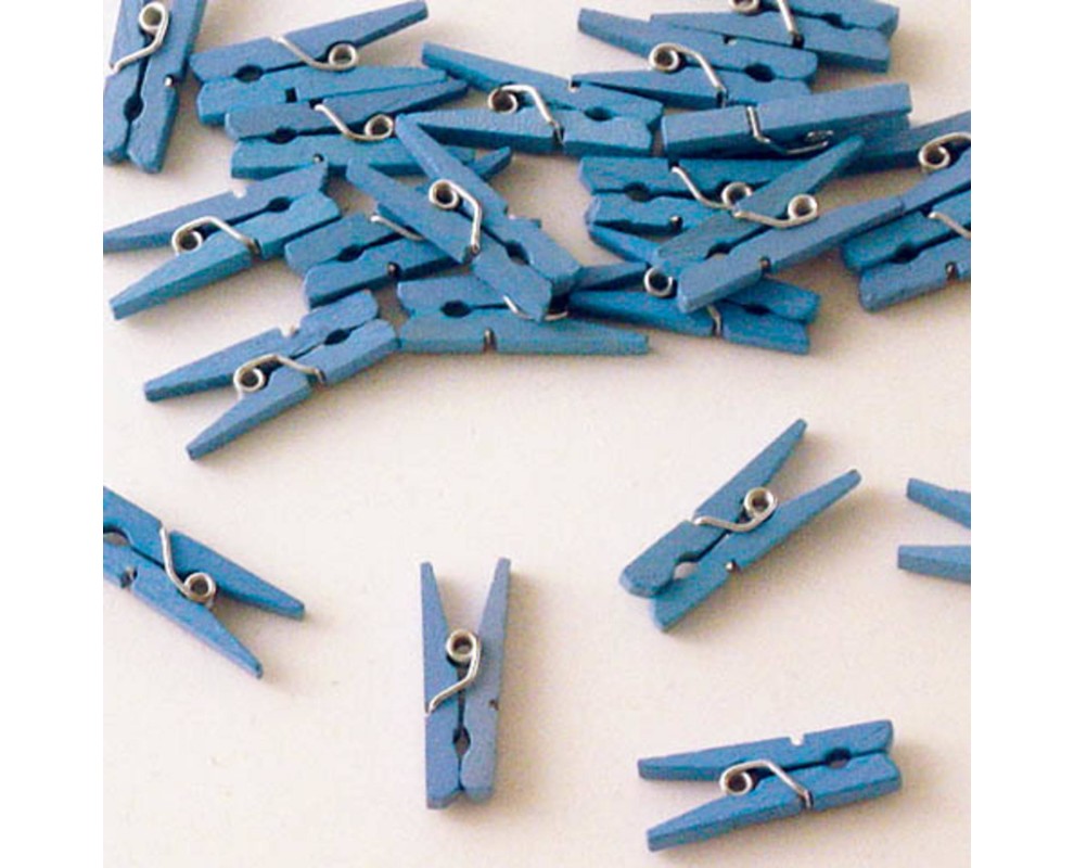 Mini Wasknijpers blauw