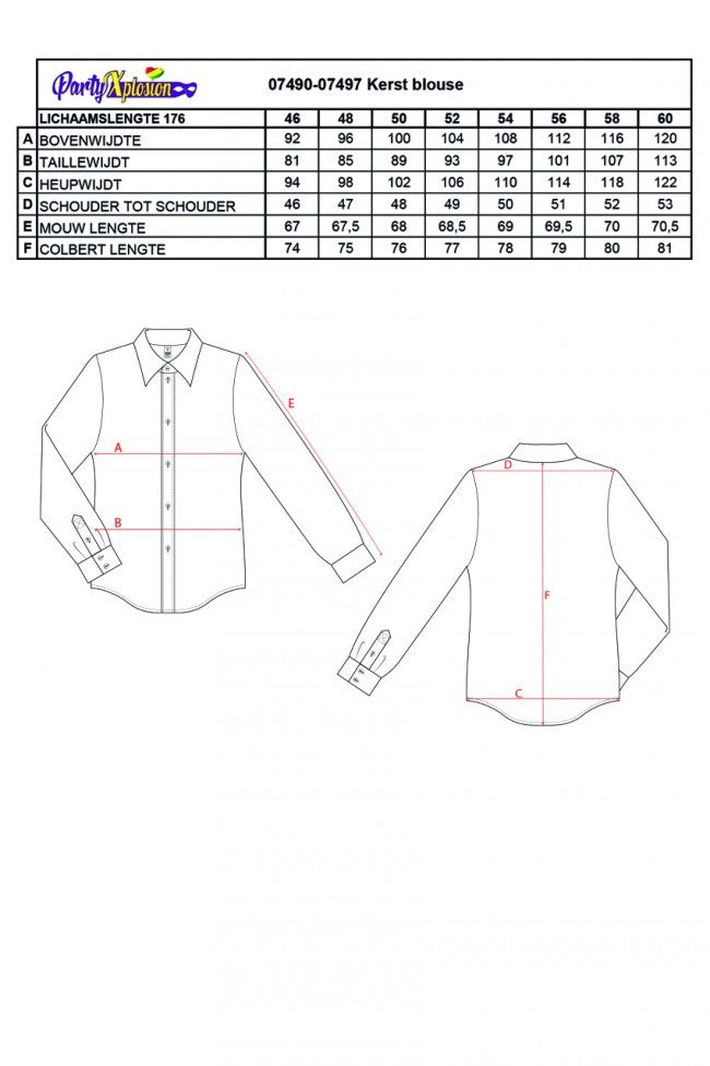 Kerst Blouse
