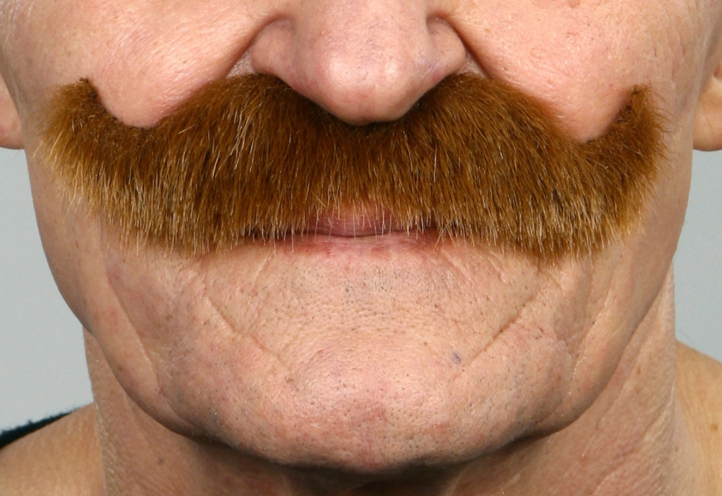 Snor Luigi Bruin