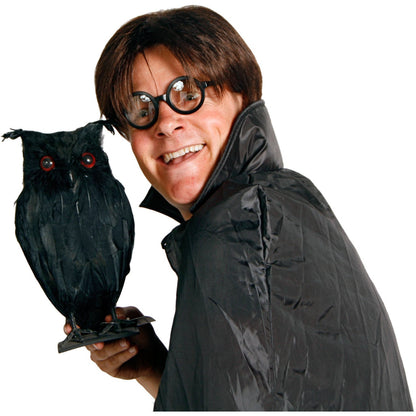 Bril Harry