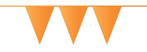Vlaggenlijn Oranje 10 mtr