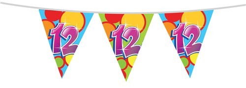Vrolijke Vlaggenlijn 12 jaar