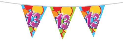 Vrolijke Vlaggenlijn 13 jaar