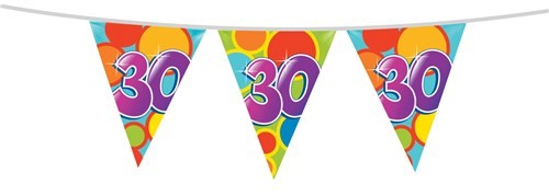 Vrolijke Vlaggenlijn 30 jaar
