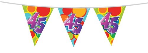 Vrolijke Vlaggenlijn 45 jaar
