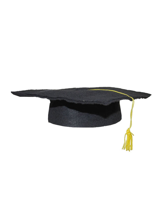 Professorhoed Geslaagd