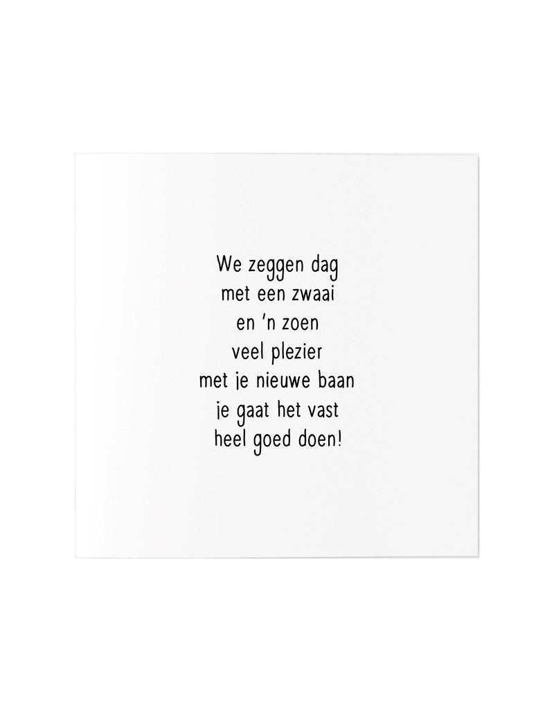 Kaart nieuwe Baan Zoedt