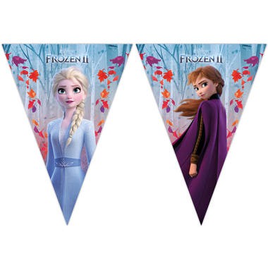 Vlaggenlijn Frozen 2
