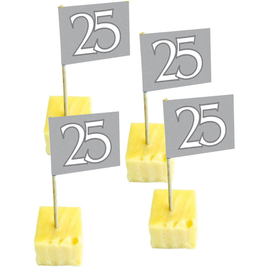 Prikkers 25 Zilver