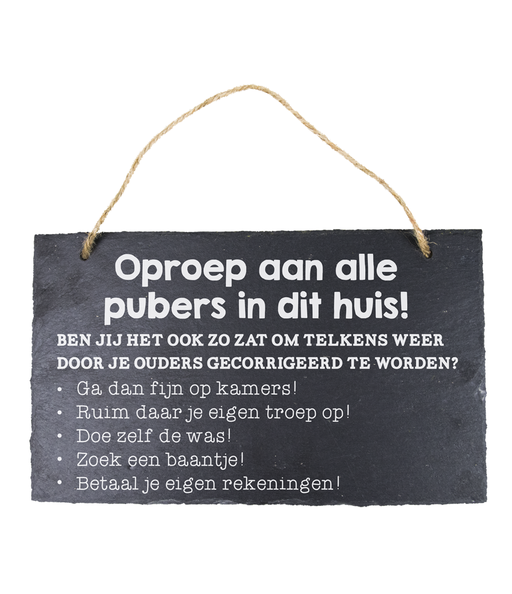 Leisteen bordje Pubers