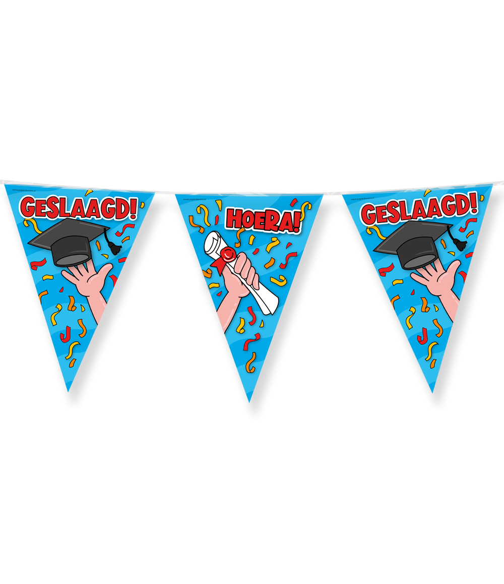 Vlaggenlijn Geslaagd Cartoon