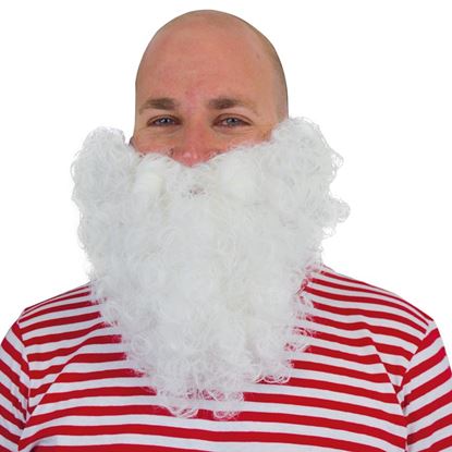 Baard Kabouter Wit