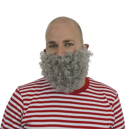 Baard kort Grijs