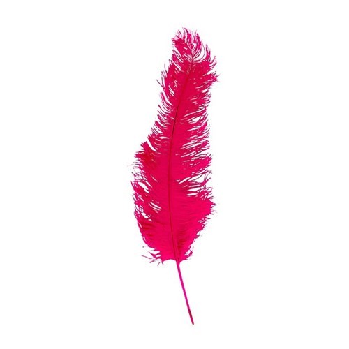 Pieten Veer magenta
