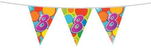 Vrolijke Vlaggenlijn 8 jaar