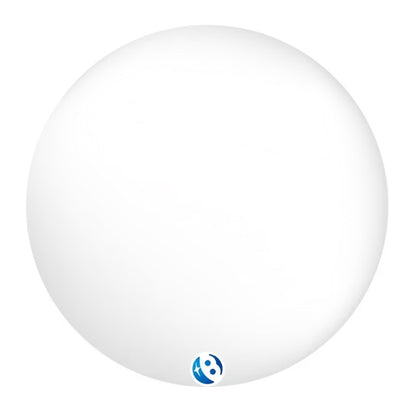 Bubble Ballon Transparant 61cm