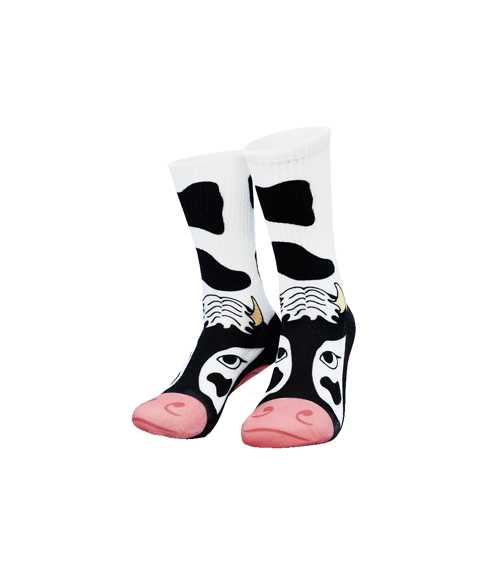 Silly Socks Koe