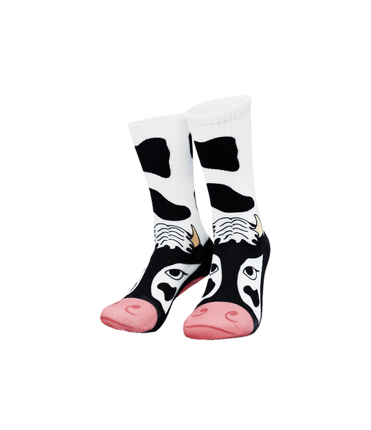 Silly Socks Koe