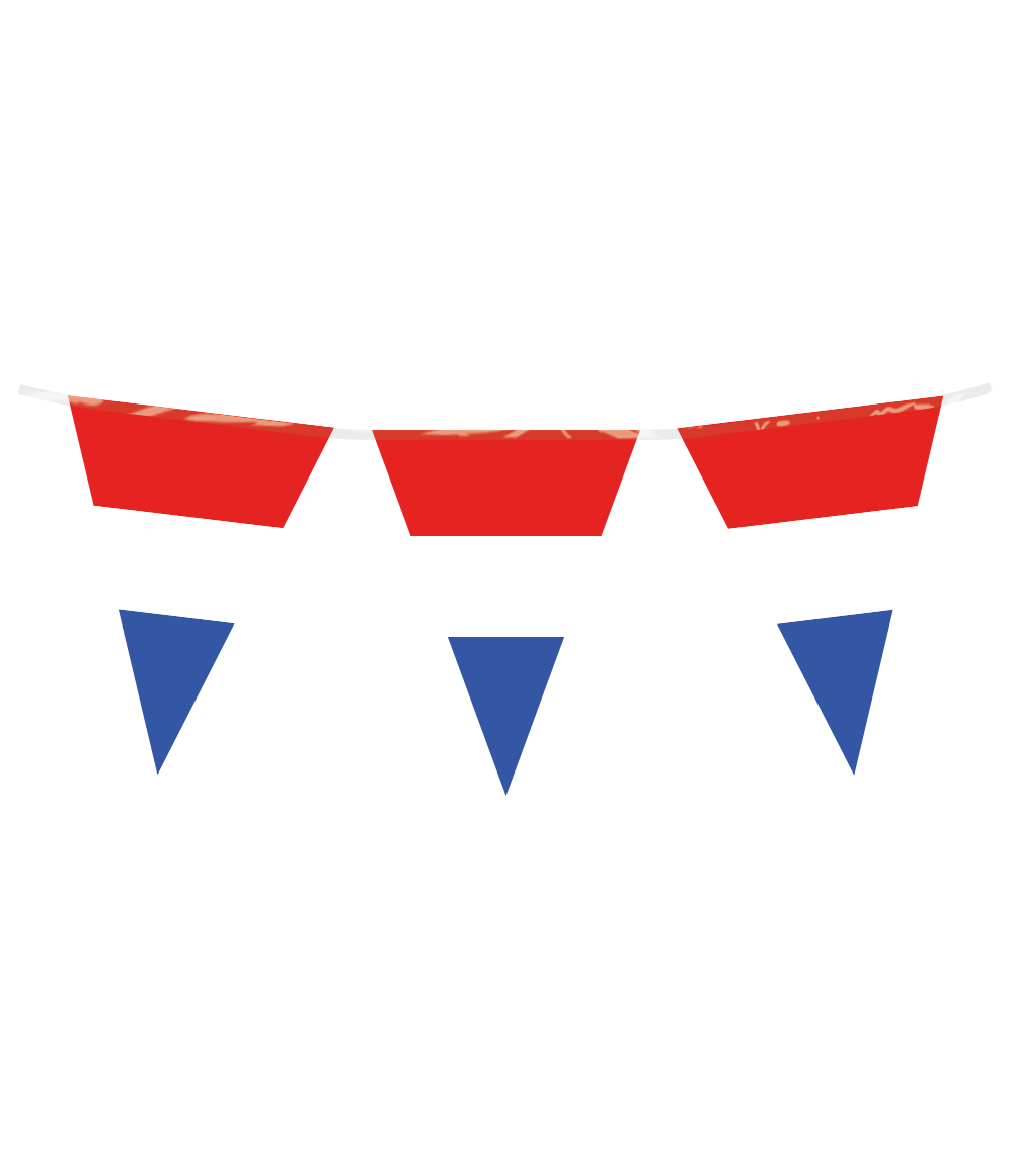 Vlaggenlijn Nederland