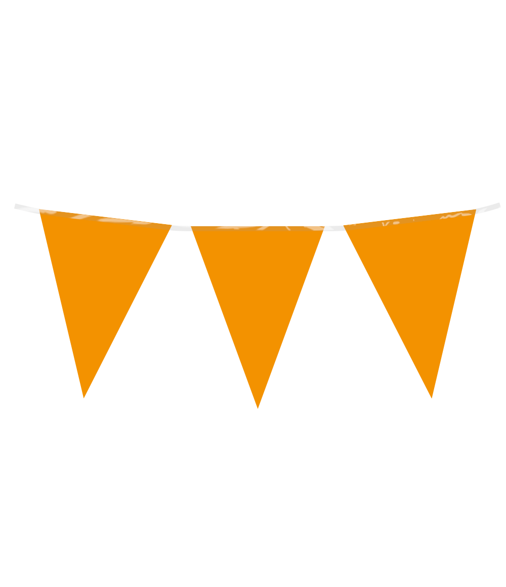 Vlaggenlijn Oranje 30 mtr